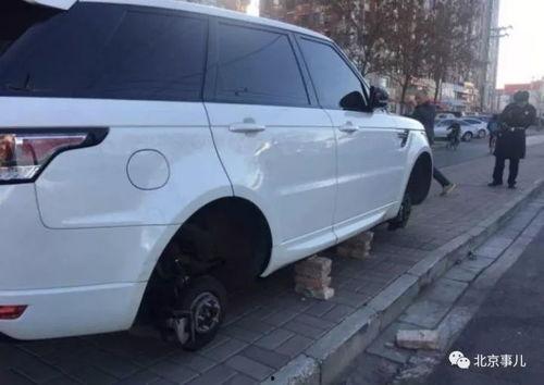 路虎停车场最新爆料,揭秘高端豪车聚集地的神秘面纱